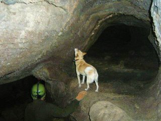 Grotta del Labirinto